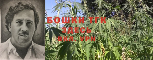 ГАЛЛЮЦИНОГЕННЫЕ ГРИБЫ Белокуриха