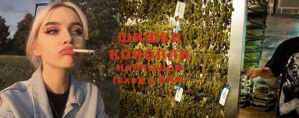 ГАЛЛЮЦИНОГЕННЫЕ ГРИБЫ Белокуриха