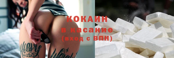 ГАЛЛЮЦИНОГЕННЫЕ ГРИБЫ Белокуриха