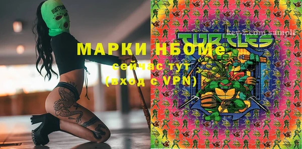 ГАЛЛЮЦИНОГЕННЫЕ ГРИБЫ Белокуриха