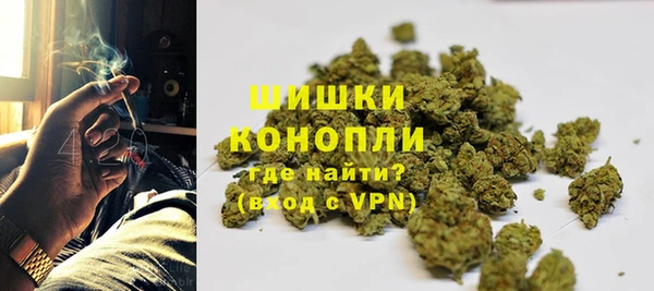 ГАЛЛЮЦИНОГЕННЫЕ ГРИБЫ Белокуриха