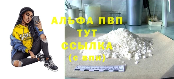 ГАЛЛЮЦИНОГЕННЫЕ ГРИБЫ Белокуриха